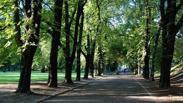 Im Grünen ist es im Sommer kühler, Bäume geben Schatten, die Luft ist frisch und man kann der Hektik und dem Lärm der Stadt entfliehen. Bild: BGL.