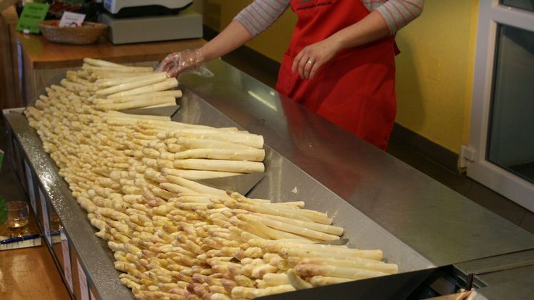 Die Spargelernte in Niedersachsen hat begonnen. Zu Ostern würden voraussichtlich überall ausreichende Mengen des heimischen Edel-Gemüses zu Verfügung stehen, berichtet die Landwirtschaftskammer Niedersachsen. Foto: Landwirtschaftskammer Niedersachsen/