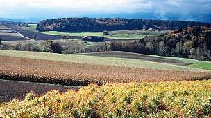 Landschaft in der Schweiz: © WWF-Canon / Michèle DÉPRAZ.