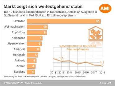 Zimmerpflanzen: Markt zeigt sich weitestgehend stabil. Grafik: AMI.