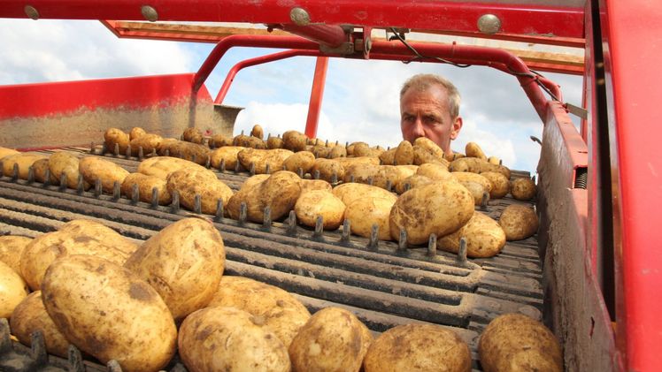 Die Katoffelbauern in Niedersachsen freuen sich, dass es jetzt überall richtig losgeht. Sie rechnen mit sehr guten Qualitäten. Bild: Landvolk Niedersachsen.