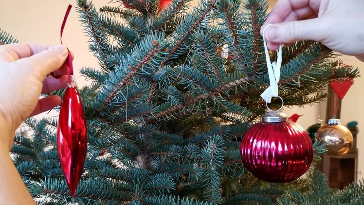 Wer sich zur kalten Jahreszeit nach Natur sehnt, kann sich mit dem Weihnachtsbaum ein Stückchen Wald nach Hause holen. Bild: VNWB. Wer sich zur kalten Jahreszeit nach Natur sehnt, kann sich mit dem Weihnachtsbaum ein Stückchen Wald nach Hause holen. Bild: VNWB.