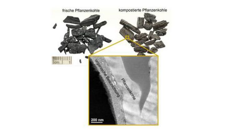 Bild: Mihaela Albu, Austrian Cooperative Research, Graz; Wolfgang Gerber, Nikolas Hagemann/Universität Tübingen.