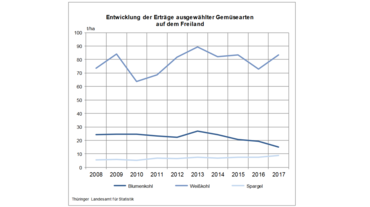 Entwicklung der Erträge ausgewählter Gemüsearten auf dem Freiland. Grafik: Thüringer Landesamt für Statistik.