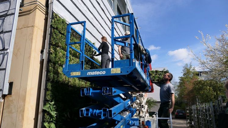 Zum Einsatz am Fraunhofer-Institut kamen die beiden Grünfassadensysteme 'Helix Biomura' sowie 'Helix Elata'. Das Anbringen der Kästen und Kassetten mit den vorkultivierten Pflanzen dauerte insgesamt vier Tage. Foto: Helix. 