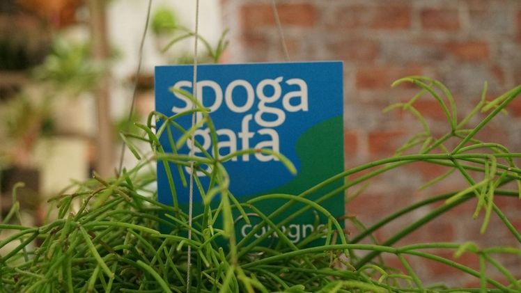 Die POS Green Solution Islands waren ein Highlight auf der spoga+gafa 2022. Bild: GABOT.