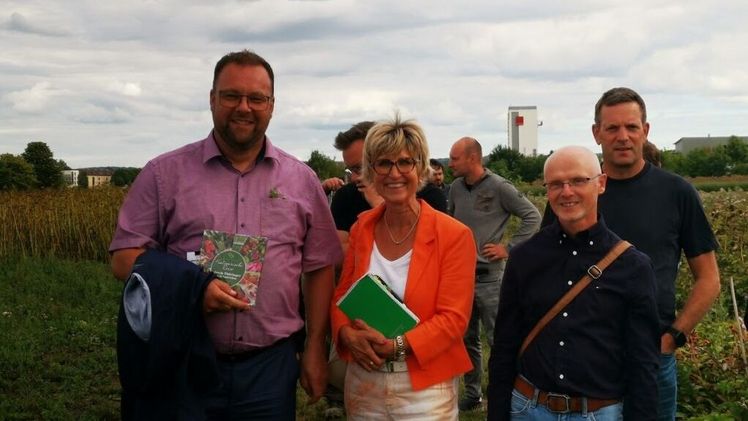 v. l.: Staatssekretär Marcus Malsch, ZVG-Präsidentin Eva Kähler-Theuerkauf, Dr. Gerd Reidenbach, Thüringer Lehr- und Versuchszentrum für Gartenbau, Udo Lindenlaub, Präsident Garten- Landschaftsbau Thüringen bei der Besichtigung des Lavendelfeldes von Rose Saatzucht Erfurt. Foto: Landesverband Gartenbau Thüringen.