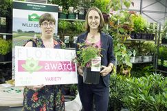 Laura De Nolf (rechts) erhält Gold für Buddleja davidii 'BotEx 006'. Bild: Florall.