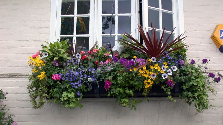 Urban Gardening ist längst mehr als nur ein Trend – Blumen, Gemüse und Kräuter gehören für viele selbstverständlich in die Stadt. Bild: Blumen – 1000 gute Gründe.