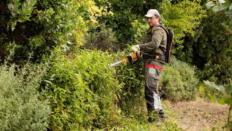 Bei Schnittleistung und Haltbarkeit sind die neuen Akku-Heckenscheren HSA 94 T und HSA 94 R den benzinbetriebenen Modellen ebenbürtig - beim Gewicht haben die Akku-Geräte allerdings die Nase vorn. Das sorgt für ermüdungsfreies Arbeiten auch bei langen Hecken. Bild: STIHL