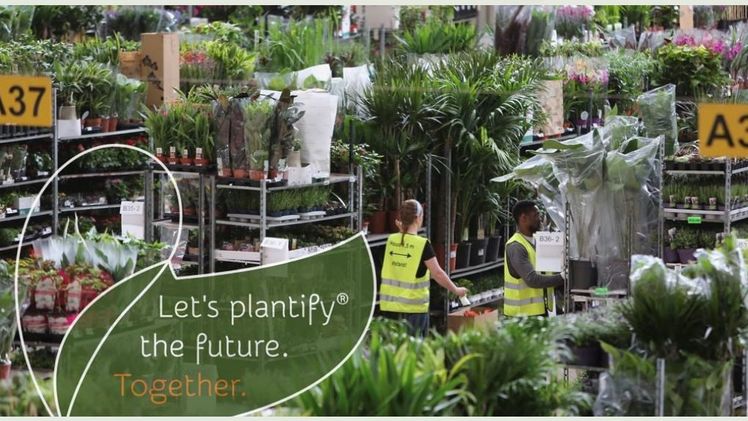 Royal Lemkes ist ein über 130 Jahre altes Familienunternehmen mit einer wunderbaren Mission: mit Pflanzen für ein angenehmes Leben, vitale Unternehmen und eine schönere Welt sorgen. Bild: Royal Lemkes. 