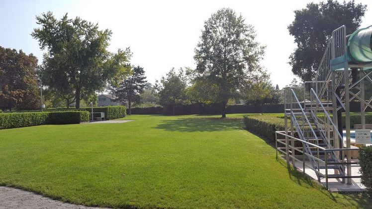 Auch für Liegewiesen in Freibädern ist der Rasenvolldünger "Progress Park" ideal. Foto: Hauert. 