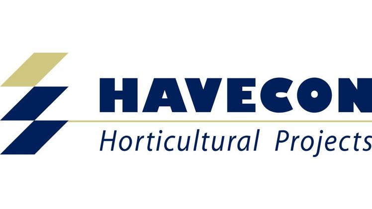 Havecon beginnt mit dem Wiederaufbau des eingestürzten Agro Care-Gewächshauses in Middenmeer.