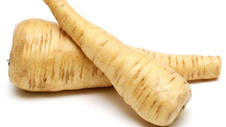 Sehen aus wie weiße Rüben, schmecken ähnlich wie Sellerie oder Kartoffeln: Pastinaken. Bild: vsgp. Sehen aus wie weiße Rüben, schmecken ähnlich wie Sellerie oder Kartoffeln: Pastinaken. Bild: vsgp.