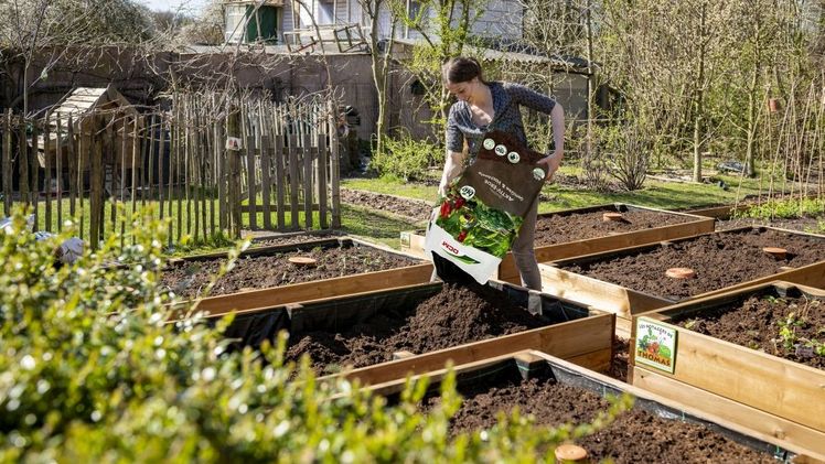 AKTIV-ERDE Gemüse & Hochbeete - Passende Produkte für das Hochbeet. Bild: CUXIN DCM.