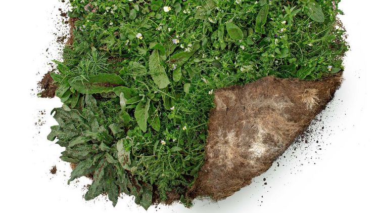 Die Matten werden von Flower Your Place inklusive Auslegen angeboten und sorgen für eine sofortige Wirkung. Bild: Flower Your Place. 