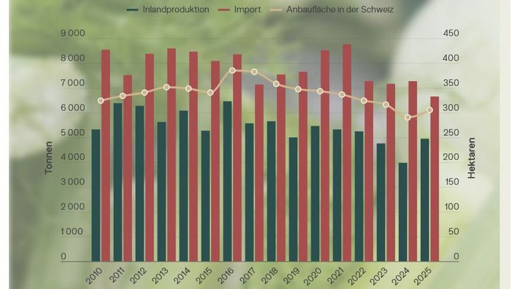 Fenchelanbau und -konsum in der Schweiz. Grafik: LID)