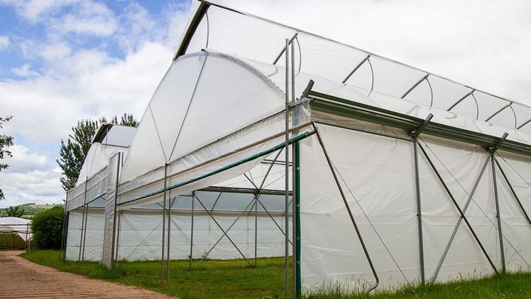 Der HyLo-Polytunnel von Haygrove. Bild: Haygrove.