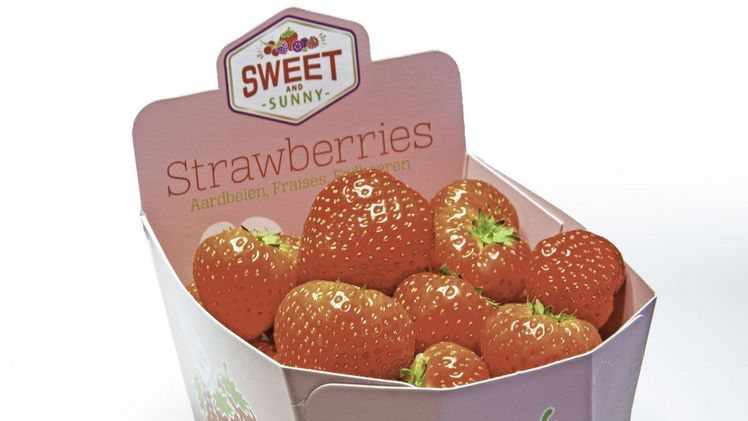 Auf der Fruit Logistica stellte The Greenery seine neue Beerenobstmarke Sweet and Sunny vor. Bild: The Greenery.