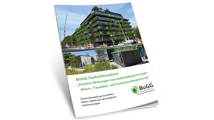 Neu: BuGG-Fachinformation „Positive Wirkungen von Gebäudebegrünungen“. Bild: Bundesverband GebäudeGrün.