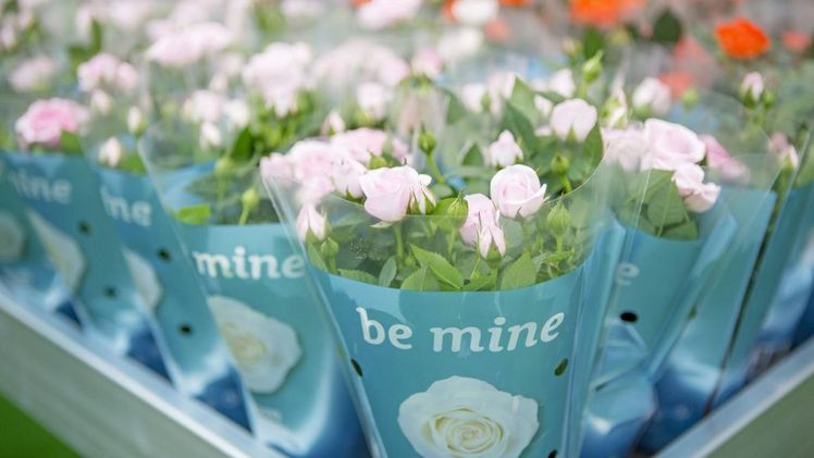 Die Floradecora weckt Begehrlichkeiten nach mehr frischem Grün im Sortiment über alle Handelsformen hinweg. Die Blumenvielfalt und Convenience-Angebote waren sehr gefragt. Bild: Messe Frankfurt Exhibition GmbH, Rui Camilo.