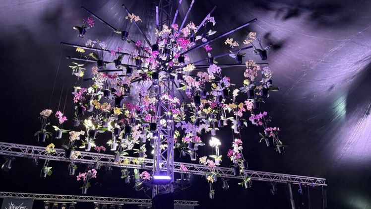 30 Jahre Anthura Arndt. Bild: © Anthura.