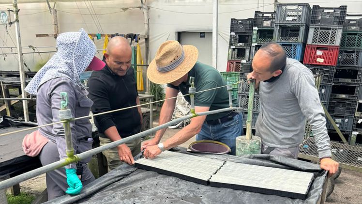 Selecta one implementiert RCS® 2.0 erfolgreich bei Colibri Flowers und erzielt damit starke Ergebnisse und eine Win-Win-Partnerschaft in Kolumbien. Bild: Selecta one.