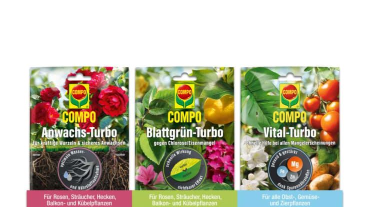 bienen saatgut kostenlos 2024 Sommer Blumenmischung main image 1