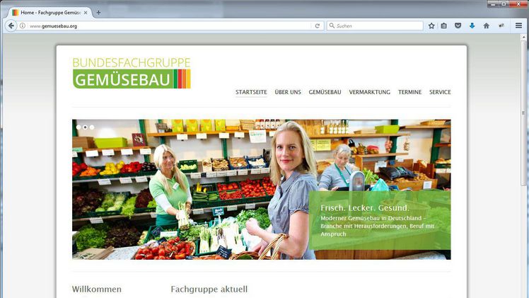 Ab sofort ist die neue Internetseite der Fachgruppe Gemüsebau online. Foto: gia-online