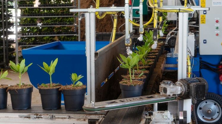 Moderne Technik bei Bischoff Rhodokulturen. Bild: Bischoff Rhodokulturen.