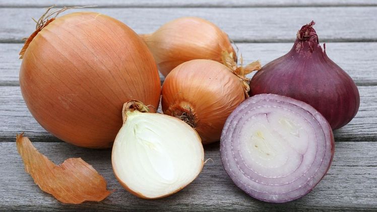 Die in der Zwiebel vorhandenen Senföle sind für die Tränen beim Zwiebelschnei-den verantwortlich. Bild: BLE.