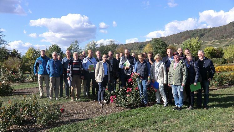 Die Teilnehmer des Arbeitskreises ADR machen sich in Dresden ein Bild über den Zustand der in Testung stehenden Rosen. Bild: BdB. 