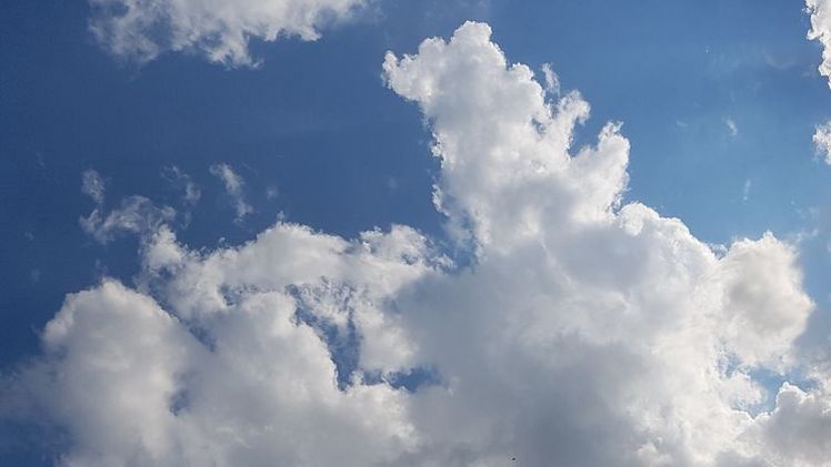 Der Sommer 2019 war sehr sonnenscheinreich. Bild: GABOT.