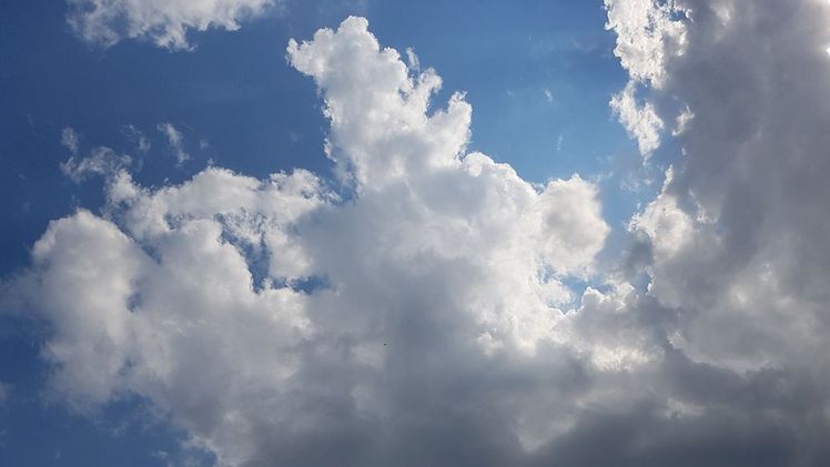 Mit rund 230 Litern pro Quadratmeter (l/m²) Niederschlag im bundesweiten Mittel verfehlte der Sommer 2020 sein Soll (239 l/m²) nur leicht. Bild: GABOT.