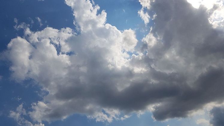 Bauernregeln und ihre Zuverlässigkeit beleuchtet. Bild: GABOT.