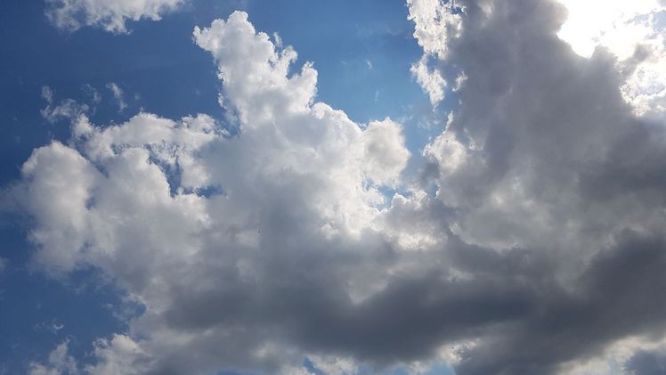 Ein warmer Sommer mit einem nassen Juli und langen Trockenphasen. Bild: GABOT.