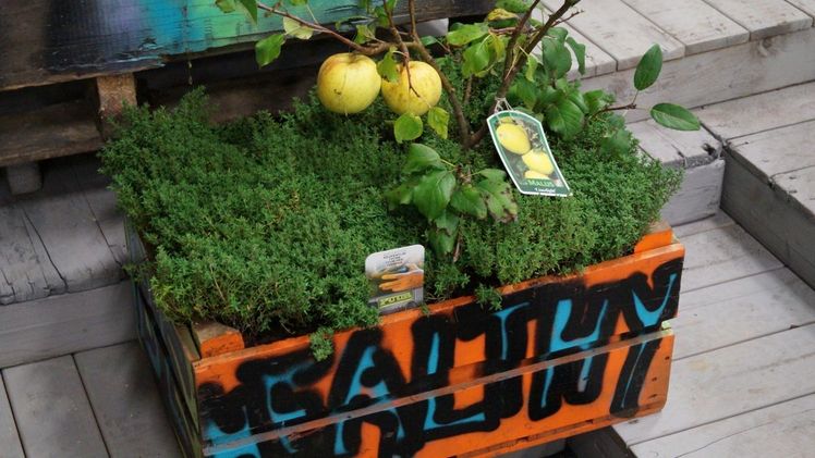 Urban Gardening ist voller Vielfalt. Bild: GABOT.