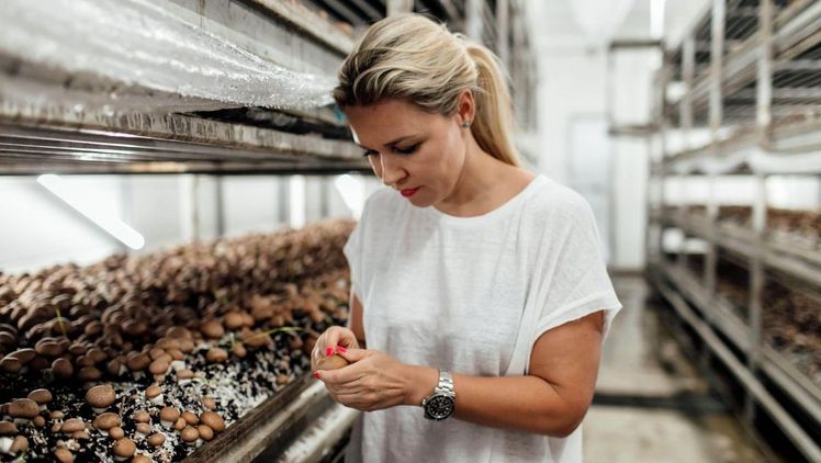 Bio-Pionierin: Cornelia Plank produziert seit 2014 Pilze in Thaur und setzt von Anbeginn an auf die Partnerschaft mit SPAR. Bild: Tiroler Bio Pilze/Anna Fichtner.