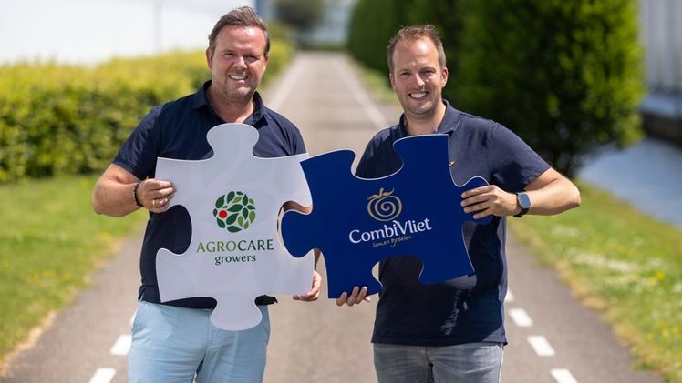 Megafusion im Tomatenanbau: Agro Care und CombiVliet wollen fusionieren. Bild: Agro Care.