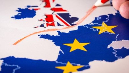 Beim Import und Export von Blumen und Pflanzen nach und aus dem Vereinigten Königreich ändert sich viel. Bild: Royal FloraHolland.