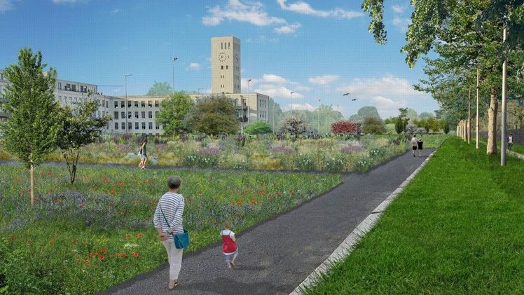 Grün Berlin ist als landeseigenes Unternehmen zuverlässiger Partner für eine klimaschonende und klimaresiliente Stadtentwicklung. Bild: Grün Berlin GmbH.