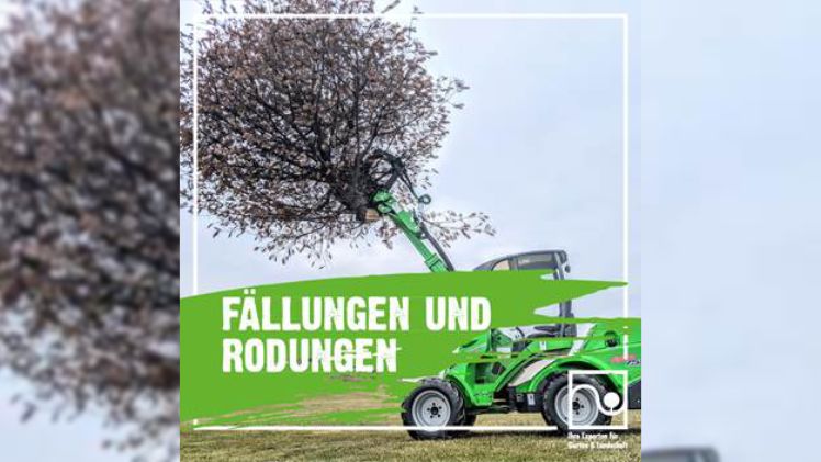 Verkehrssicherung, Gehölzschnitt im Sommer durch Ihre Experten für Garten und Landschaft. Bild: BGL / FGL.