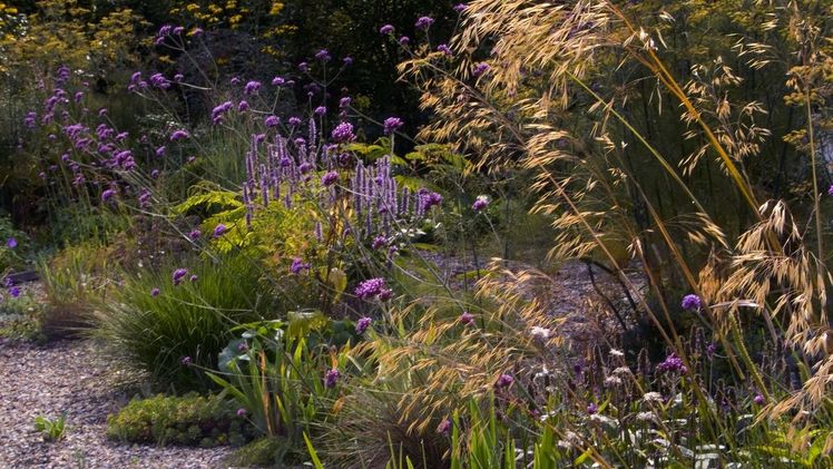 Begrünte Vorgärten sorgen für ein angenehmes Klima in ihrer direkten Umgebung. Bild: GPP/GdS/Nagel.