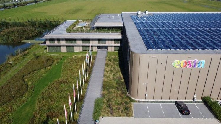 Die Geschäfte von Eosta und Nature & More laufen unter demselben Namen fort. Bild: Eosta.