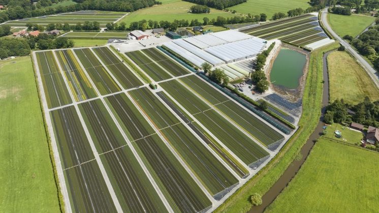 Baumschule Delger aus Apen im Ammerland. Bild: Delger.