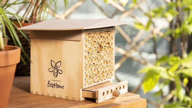 BeeHome Observer hell: Das Wildbienen-Häuschen mit Entdecker-Schublade inklusive Mauerbienen. Ideal für Balkon und Garten. Bild: Pollinature. 