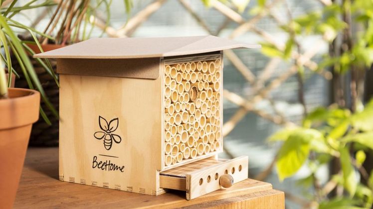 BeeHome Observer hell: Das Wildbienen-Häuschen mit Entdecker-Schublade inklusive Mauerbienen. Ideal für Balkon und Garten. Bild: Pollinature.  BeeHome Observer hell: Das Wildbienen-Häuschen mit Entdecker-Schublade inklusive Mauerbienen. Ideal für Balkon und Garten. Bild: Pollinature.
