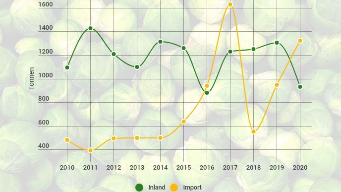 Letztes Jahr gab es aber einen signifikanten Einbruch beim Schweizer Rosenkohlanbau: Nur noch rund 929 Tonnen Rosenkohl wurden auf rund 66 Hektar geerntet. Bild: lid.