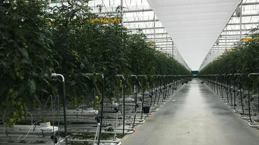 Impressionen aus dem Gewächshauskomplex in der Nähe von Mont Saint-Michel. Bild: CMF Group. 