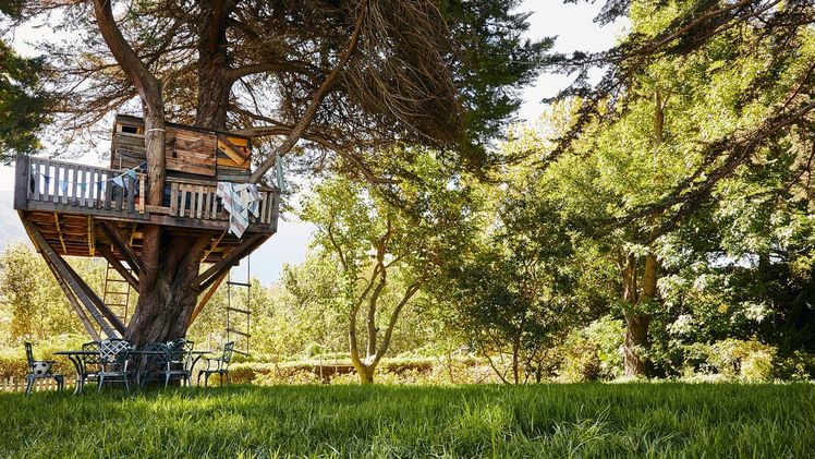 Jeder  zwanzigste Befragte des aktuellen„STIHL  Garten-Barometers“ gab sogar an, ein Baumhaus zu besitzen. Bild: STIHL.